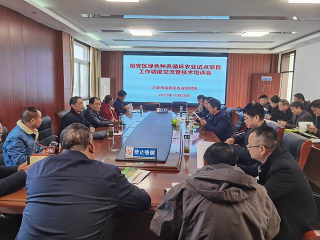 裕安区农业农村局新项目推动农业现代化，乡村振兴再添动力