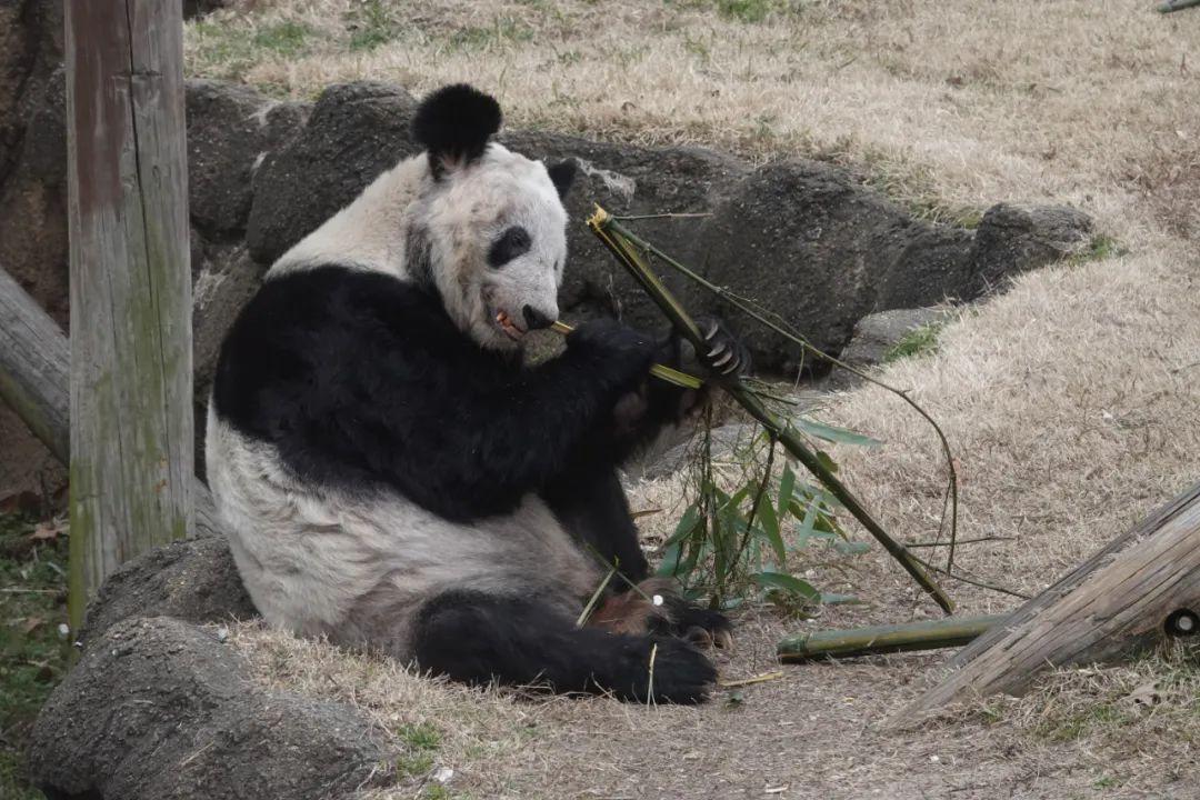 探索前沿科技与社会交融之美的程程新篇章
