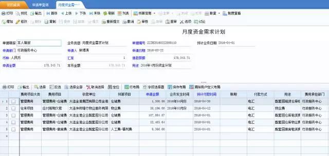 2025新澳开奖记录查询,实用性执行策略讲解