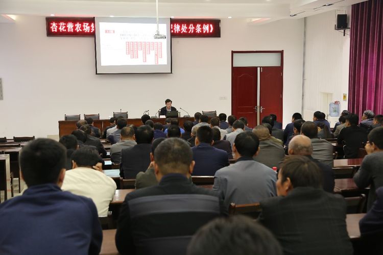 岚观坪村民委员会最新动态报道