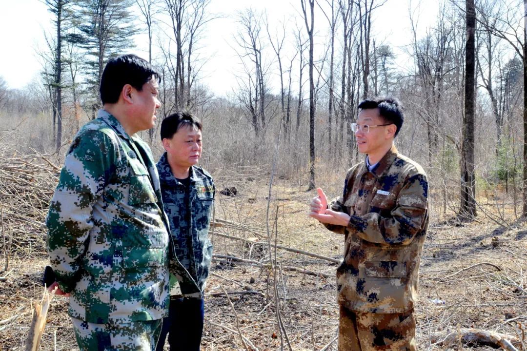 老莱镇宽余林场最新新闻报道概览
