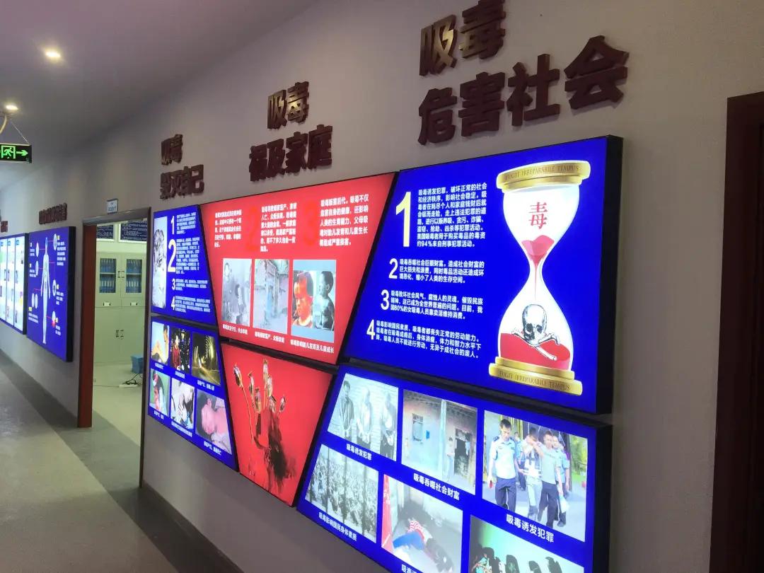 金堂县教育局最新招聘信息概览，最新岗位与要求一网打尽