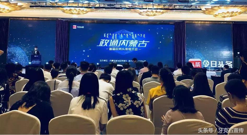 网信最新走向，探索数字时代的未来之路发展分析