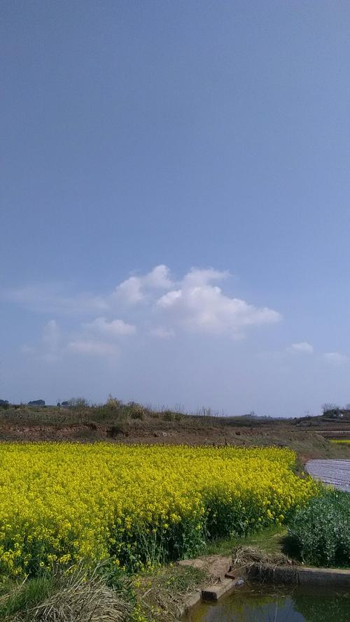 图河乡最新天气预报详解，气象信息及趋势预测