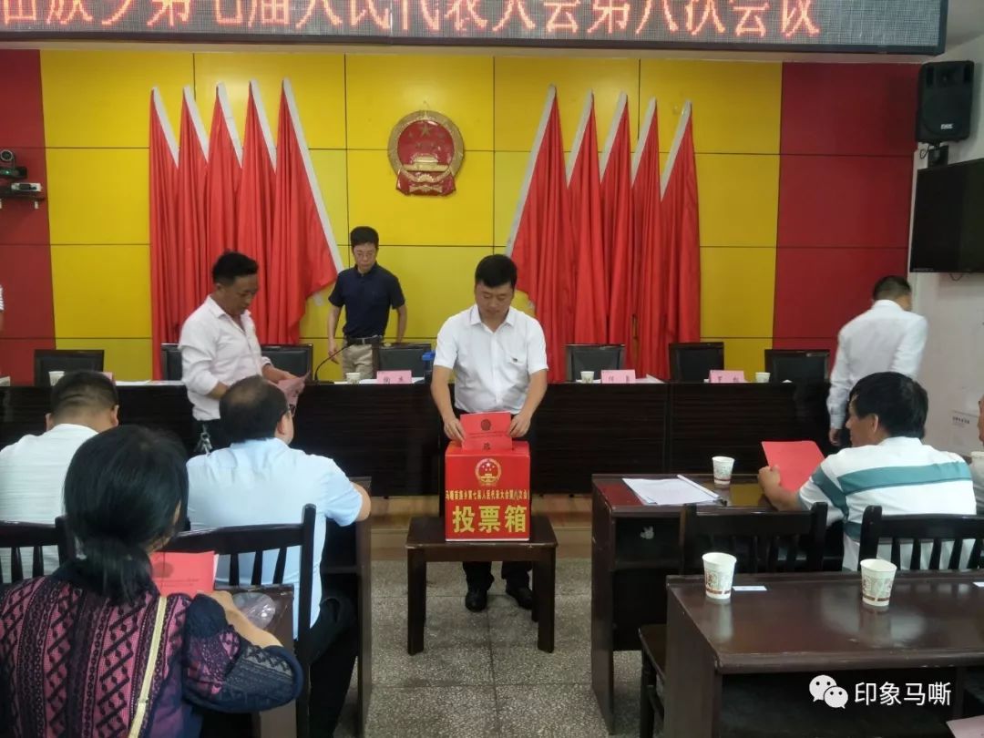 屯寨村委会人事大调整，重塑乡村领导团队，引领未来新篇章